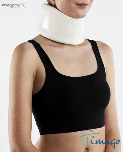 kołnierz florida.jpeg